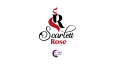 Logo Tasarımı