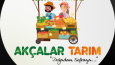 Küçük - Orta - Büyük İşletme Logo Tasarımı