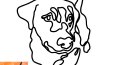 Lineart Tasarım
