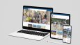 Wordpress Sitelerim