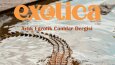 Exotica Dergi Kapağı Seri Tasarımları