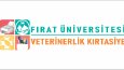 İsteğinize uygun logo tasarlanır 