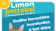 Limon Pet Sosyal Medya Tasarımları