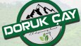Sizin için akılda kalıcı vektörel logo çalışması yaparım