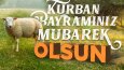Kurban Bayramı