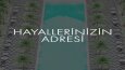Sosyal medya tasarımları