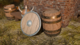 Viking Evi