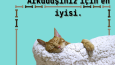 işletme kampanyaları