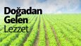 Sosyal Medya Çalışmaları