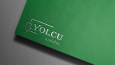 Modern Logo