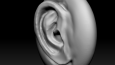 3D Modelleme Portfolyom