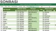 Karmaşık Excel Verilerinin Temizlenmesi ve Düzenlenmesi