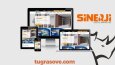 Profesyonel web tasarım 