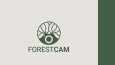 ForestCam - Konsept Logo Çalışması