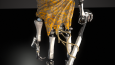 Western Robot