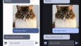 Gemini AI - Yapay Zeka Chat Uygulaması