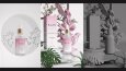 3D Modelleme&Görselleştirme ve Animasyon