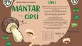 Noshy Sebze Cipsi