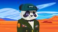 Panda NFT Serisi