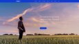 Entity X - WordPress