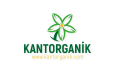 Minimalist Logo Tasarımı