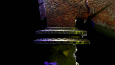 GAME ASSETS