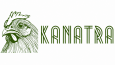 GEOMETRİK LOGO