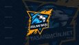 Gaming Logo Tasarımları