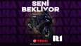 Sosyal Medya Tasarımları