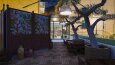 Cafe - Restaurant