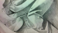 Free Drawing