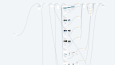 Manychat Bot