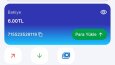 Dijital Cüzdan ve Finansal Yönetim Sistemi