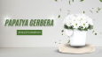 Sosyal Medya & Web Banner