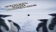 Yapay Zeka Teknolojisi ile Viral Odaklı Yeni Nesil Videolar