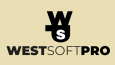 WSP - Yazılım Şirketi Konsepti