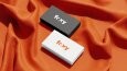 Foxy Logo Tasarımı