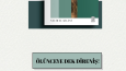 modern ve estetik grafik tasarımlar