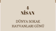 Sosyal Medya yönetimi