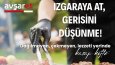 Avşar Et | post tasarımı 