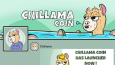 Chillama Coin (Meme Coin) Tasarımları