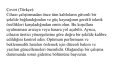 Beyzanur Kartlı | Profesyonel Çeviri Çalışmaları