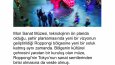 Mori Sanat Müzesi
