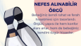 Eva Bebek Ürünleri İçin