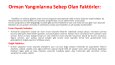 ORMAN YANGINI SUNUM