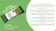 Matcha Kurabiyeler
