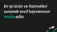 İnstagram Post Çalışmaları