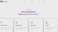Örnek Website