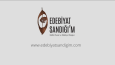 Logo Intro