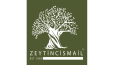 Güçlü Logo Tasarımı